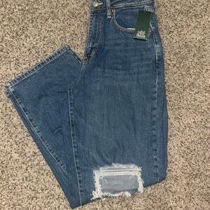Wild Fable Distressed Blue Jeans